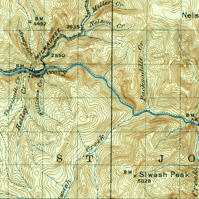 United States Geological Survey Avery, ID-MT (1917, 125000-Scale) digital map