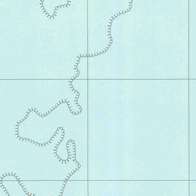 United States Geological Survey Babeldaob North, PW (2000, 25000-Scale) digital map
