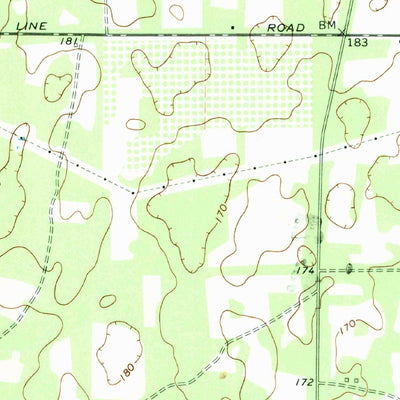 United States Geological Survey Baconton North, GA (1974, 24000-Scale) digital map