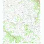 United States Geological Survey Bad Bug Butte, AZ (1982, 24000-Scale) digital map