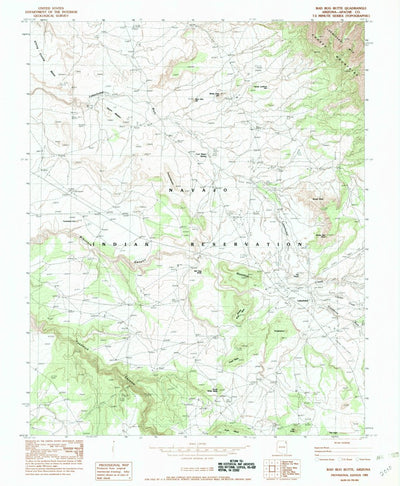 United States Geological Survey Bad Bug Butte, AZ (1982, 24000-Scale) digital map
