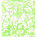 United States Geological Survey Baden, GA-FL (1956, 24000-Scale) digital map