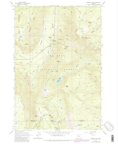 United States Geological Survey Badger Lake, OR (1962, 24000-Scale) digital map