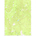 United States Geological Survey Badger Lake, OR (1979, 24000-Scale) digital map
