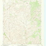 United States Geological Survey Badger Nest Tank, TX (1967, 24000-Scale) digital map