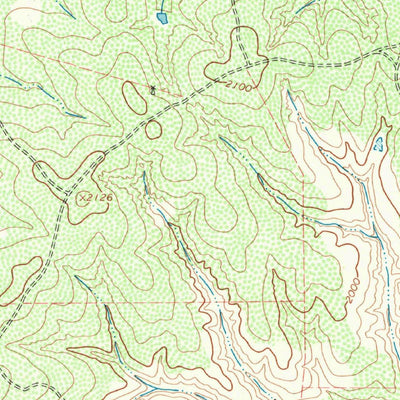 United States Geological Survey Badger Nest Tank, TX (1967, 24000-Scale) digital map
