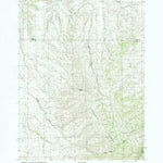 United States Geological Survey Badger Peak, ID (1984, 24000-Scale) digital map