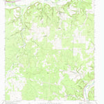 United States Geological Survey Bailey Creek, TX (1974, 24000-Scale) digital map