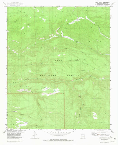 United States Geological Survey Baily Points, NM (1981, 24000-Scale) digital map