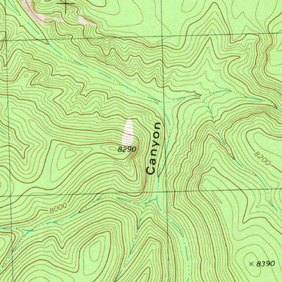 United States Geological Survey Baily Points, NM (1981, 24000-Scale) digital map