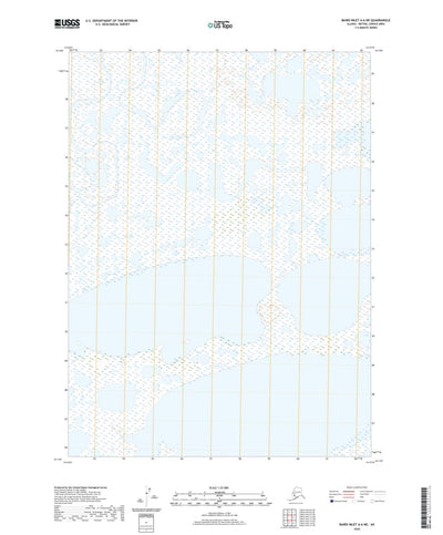 United States Geological Survey Baird Inlet A-6 NE, AK (2020, 25000-Scale) digital map