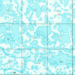 United States Geological Survey Baird Inlet C-2, AK (1954, 63360-Scale) digital map