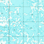 United States Geological Survey Baird Inlet C-2, AK (1954, 63360-Scale) digital map