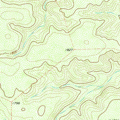 United States Geological Survey Bakers Crossing, TX (1979, 24000-Scale) digital map