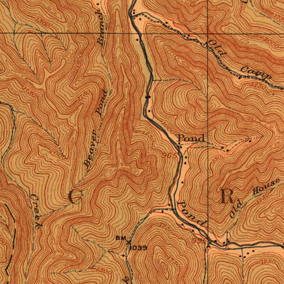 United States Geological Survey Bald King, WV (1912, 62500-Scale) digital map