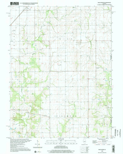 United States Geological Survey Bald Knob, IL (1998, 24000-Scale) digital map