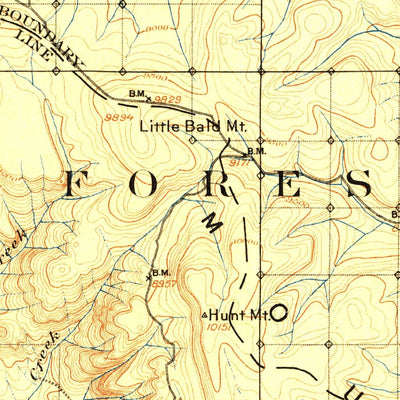 United States Geological Survey Bald Mountain, WY (1901, 125000-Scale) digital map