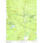 United States Geological Survey Baldwin, MI (1959, 62500-Scale) digital map