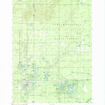 United States Geological Survey Baldwin, MI (1987, 24000-Scale) digital map