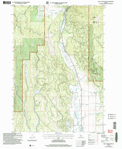 United States Geological Survey Bally Mountain, ID (2004, 24000-Scale) digital map