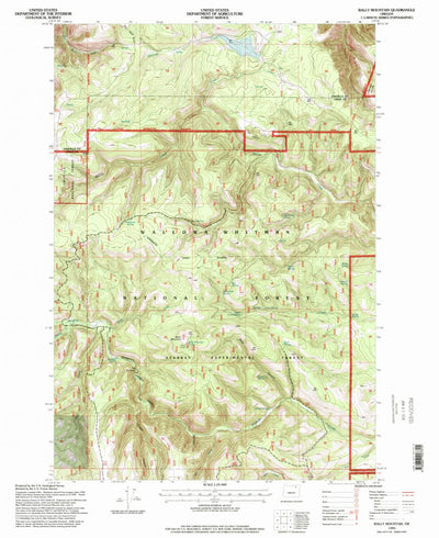 United States Geological Survey Bally Mountain, OR (1995, 24000-Scale) digital map