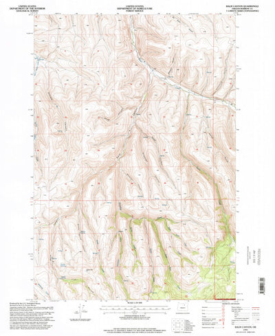 United States Geological Survey Balm Canyon, OR (1995, 24000-Scale) digital map