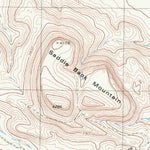 United States Geological Survey Balmorhea, TX (1980, 24000-Scale) digital map