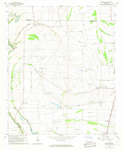 United States Geological Survey Baltzer, MS (1966, 24000-Scale) digital map