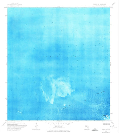 United States Geological Survey Bamboo Key, FL (1972, 24000-Scale) digital map