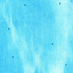 United States Geological Survey Bamboo Key, FL (1972, 24000-Scale) digital map