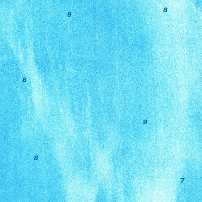 United States Geological Survey Bamboo Key, FL (1972, 24000-Scale) digital map