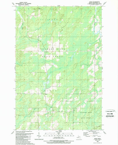 United States Geological Survey Banat, MI (1989, 24000-Scale) digital map