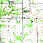 United States Geological Survey Bangor, MI (1927, 62500-Scale) digital map