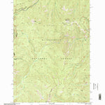 United States Geological Survey Bare Cone, MT-ID (1998, 24000-Scale) digital map