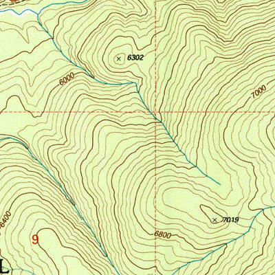 United States Geological Survey Bare Cone, MT-ID (1998, 24000-Scale) digital map