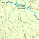 United States Geological Survey Barrineau Park, FL-AL (1978, 24000-Scale) digital map
