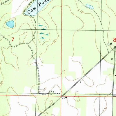 United States Geological Survey Bascom, FL-GA (1994, 24000-Scale) digital map