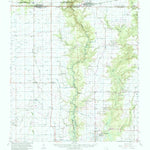 United States Geological Survey Basile, LA (1960, 62500-Scale) digital map