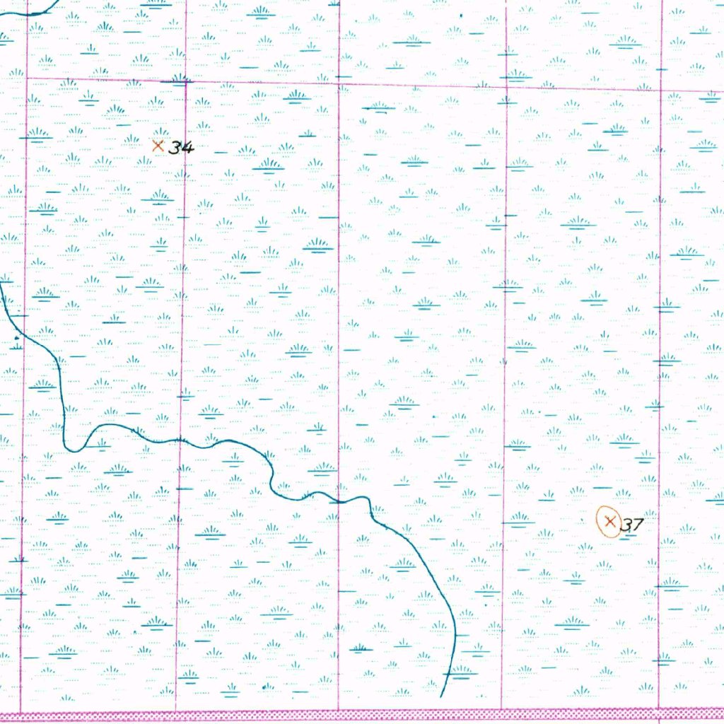 Basinger SW, FL (1953, 24000-Scale) Map by United States Geological ...