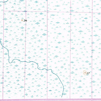 United States Geological Survey Basinger SW, FL (1953, 24000-Scale) digital map