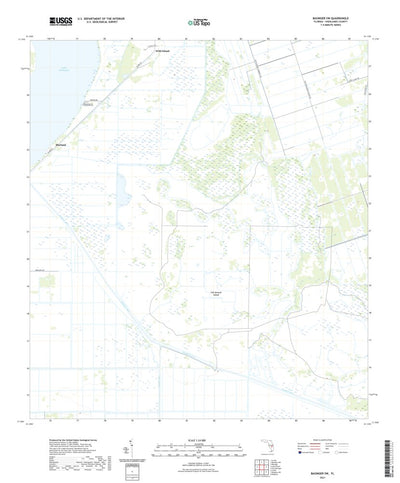 United States Geological Survey Basinger SW, FL (2021, 24000-Scale) digital map