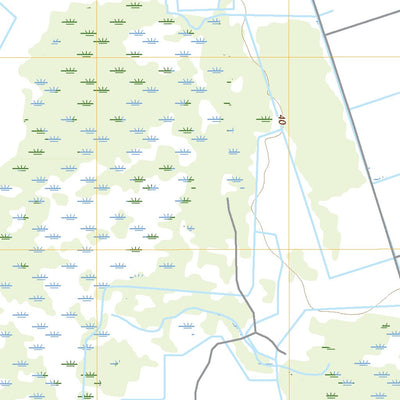 United States Geological Survey Basinger SW, FL (2021, 24000-Scale) digital map