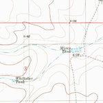 United States Geological Survey Bassett Lake, NM-TX (1980, 24000-Scale) digital map