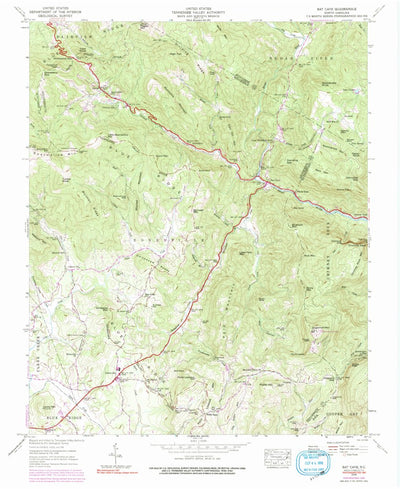 United States Geological Survey Bat Cave, NC (1946, 24000-Scale) digital map