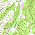 United States Geological Survey Bath, NY (1953, 24000-Scale) digital map