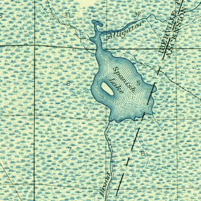 United States Geological Survey Baton Rouge, LA (1908, 62500-Scale) digital map