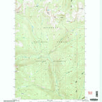 United States Geological Survey Bauerman Ridge, WA (2001, 24000-Scale) digital map