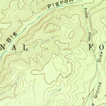 United States Geological Survey Bay Buck Peaks, NM (1964, 24000-Scale) digital map