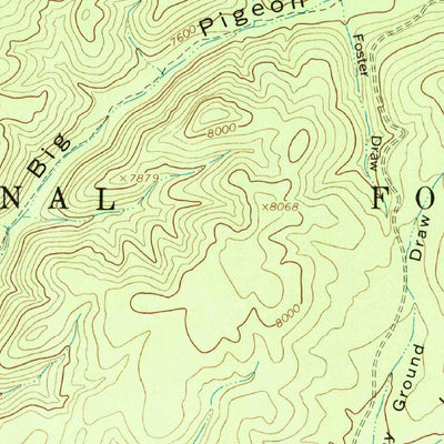 United States Geological Survey Bay Buck Peaks, NM (1964, 24000-Scale) digital map