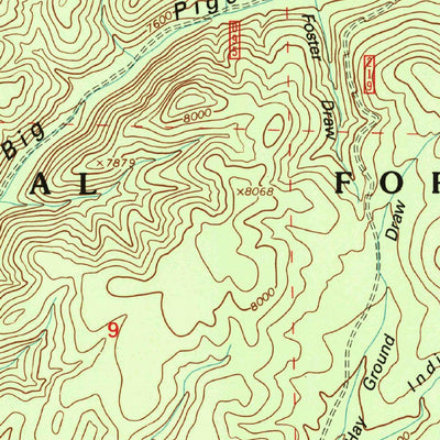United States Geological Survey Bay Buck Peaks, NM (1995, 24000-Scale) digital map